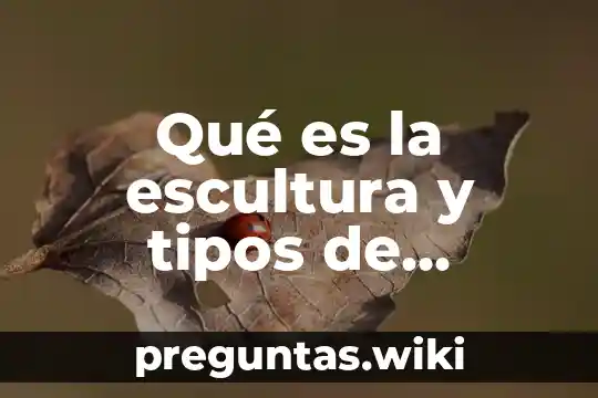 Qué es la escultura y tipos de escultura