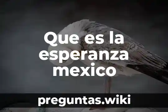Que es la esperanza mexico