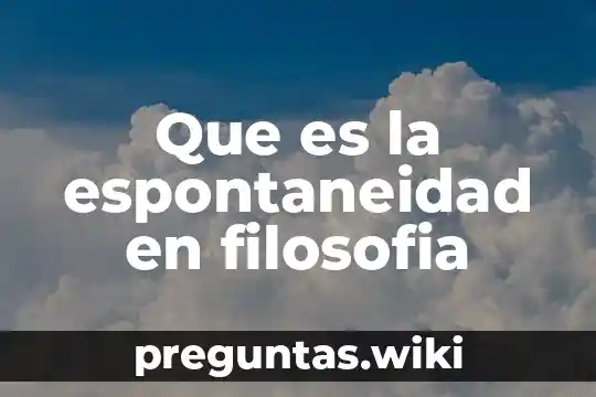 Que es la espontaneidad en filosofia