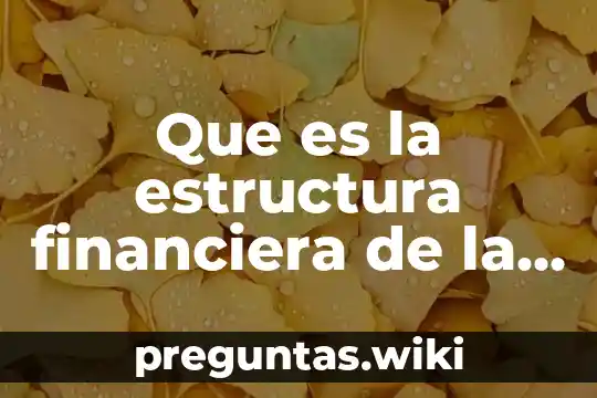 Que es la estructura financiera de la sociedad cooperativa
