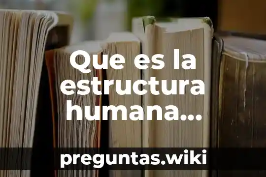 Que es la estructura humana filosofia