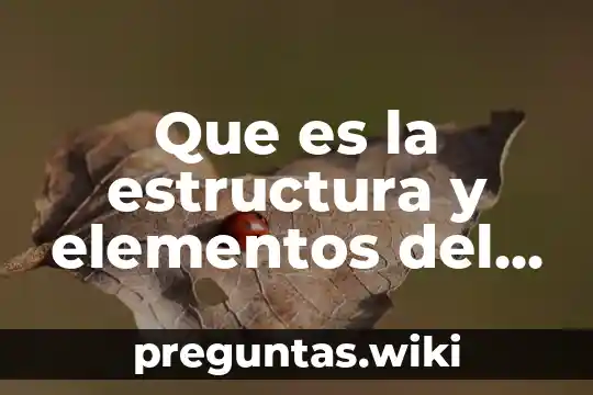 Que es la estructura y elementos del cuento