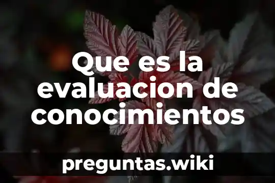 Que es la evaluacion de conocimientos
