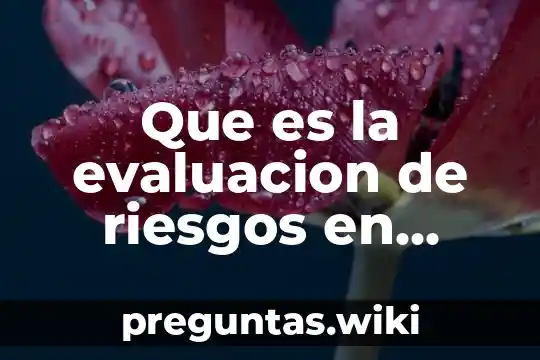 Que es la evaluacion de riesgos en auditoria