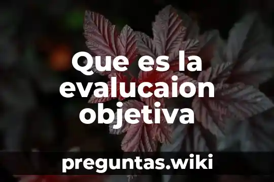 Que es la evalucaion objetiva