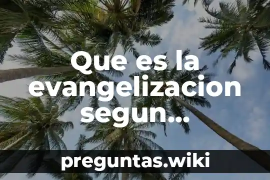 Que es la evangelizacion segun aparecida
