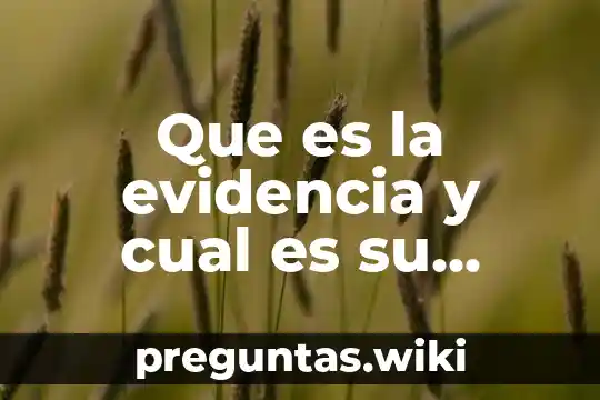 Que es la evidencia y cual es su importancia