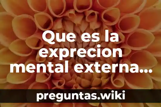 Que es la exprecion mental externa en logica