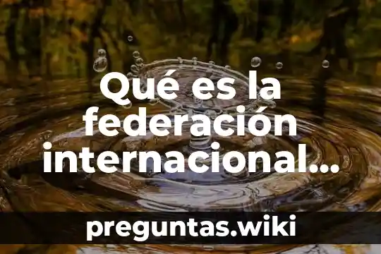 Qué es la federación internacional de la cruz roja