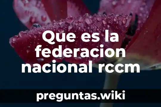 Que es la federacion nacional rccm