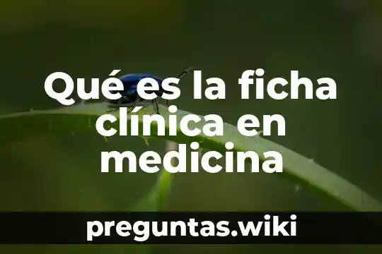 Qué es la ficha clínica en medicina