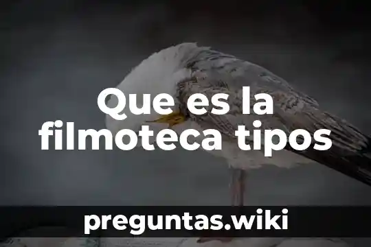 Que es la filmoteca tipos