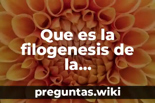 Que es la filogenesis de la comunicacion humana