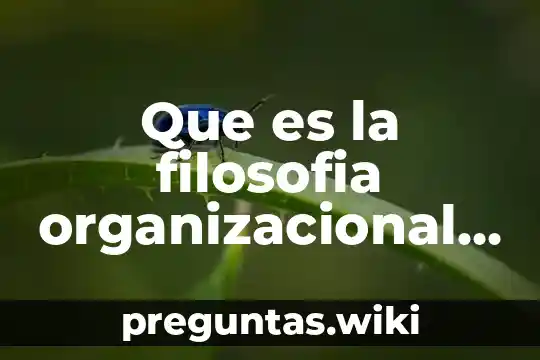 Que es la filosofia organizacional o empresarial