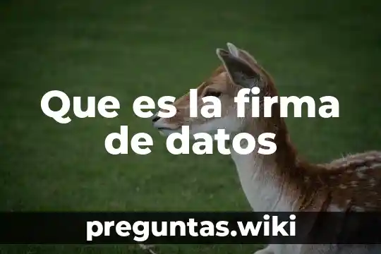 Que es la firma de datos