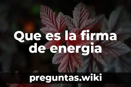 Que es la firma de energia