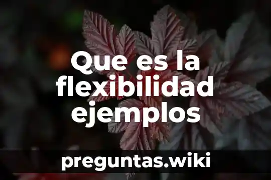 Que es la flexibilidad ejemplos