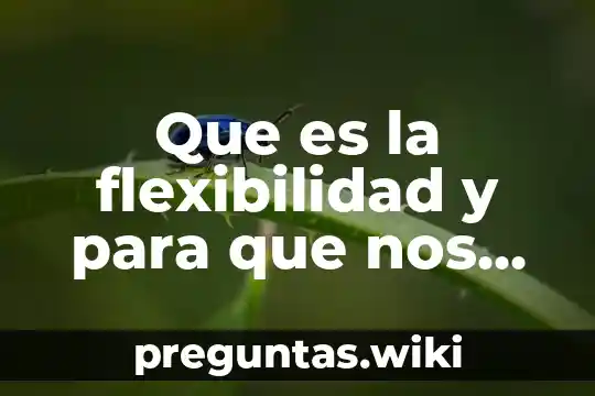 Que es la flexibilidad y para que nos sirve
