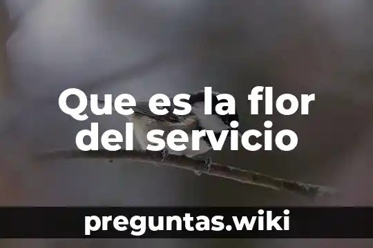 Que es la flor del servicio