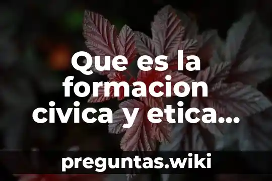 Que es la formacion civica y etica libro de texto