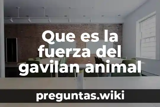 Que es la fuerza del gavilan animal