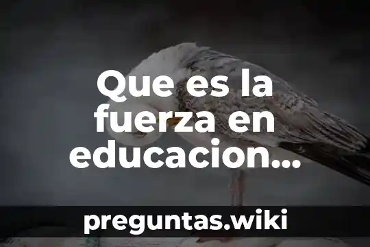 Que es la fuerza en educacion fisica y sus tipos