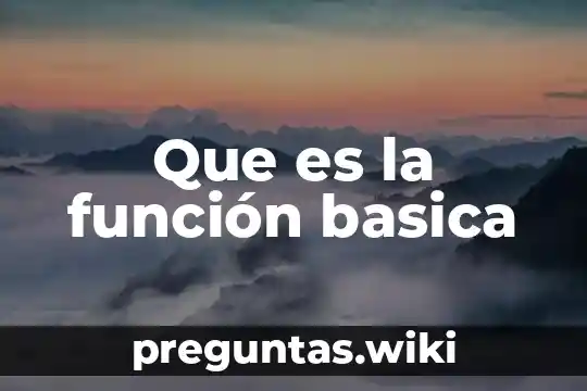 Que es la función basica