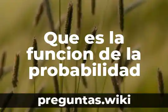 Que es la funcion de la probabilidad
