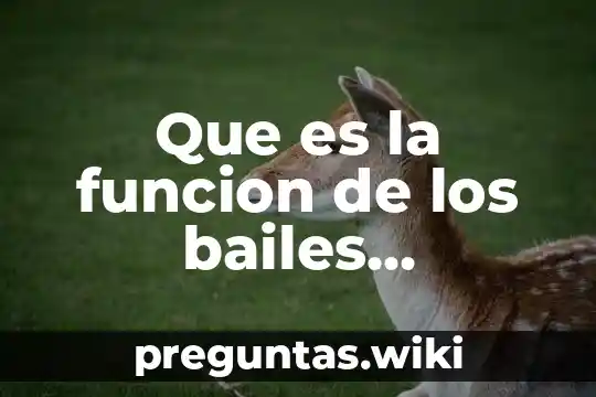 Que es la funcion de los bailes populares