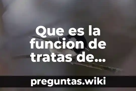 Que es la funcion de tratas de personas