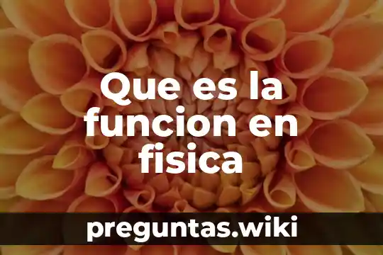 Que es la funcion en fisica