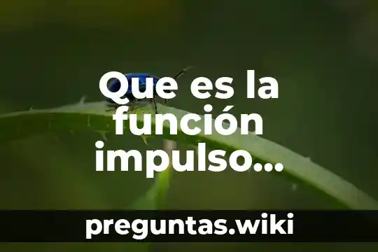 Que es la función impulso unitario