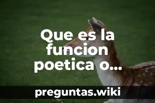 Que es la funcion poetica o expresiva