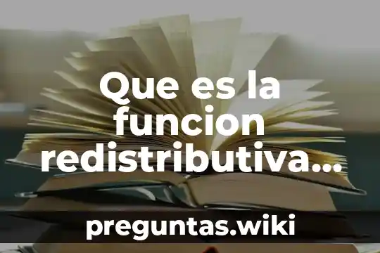 Que es la funcion redistributiva del estado
