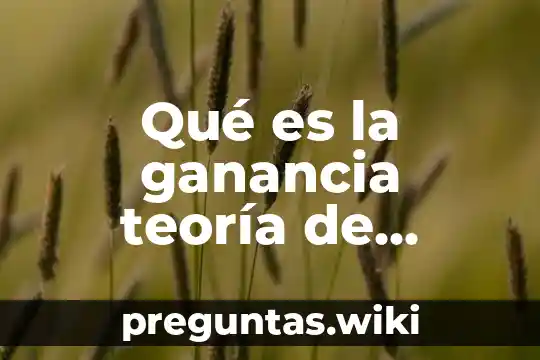 Qué es la ganancia teoría de control