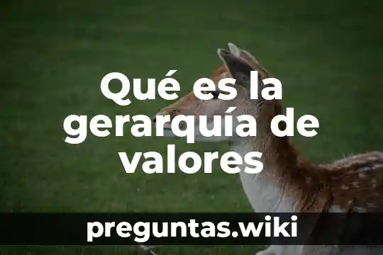 Qué es la gerarquía de valores