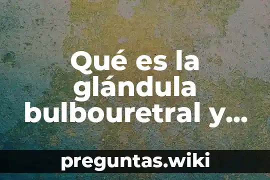 Qué es la glándula bulbouretral y su función