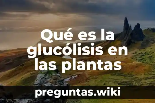 Qué es la glucólisis en las plantas