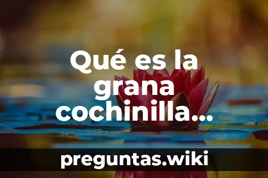 Qué es la grana cochinilla bellas artes