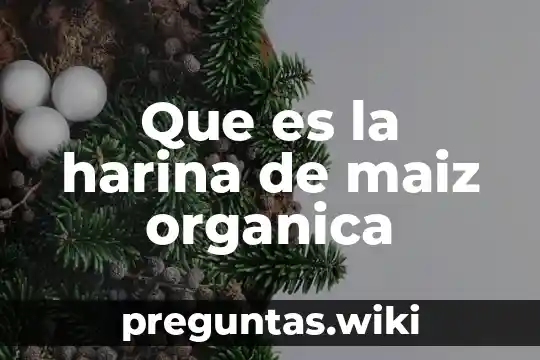 Que es la harina de maiz organica