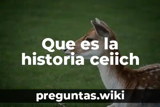 Que es la historia ceiich