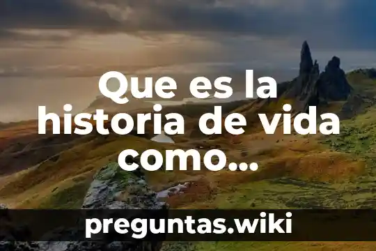 Que es la historia de vida como investigacion