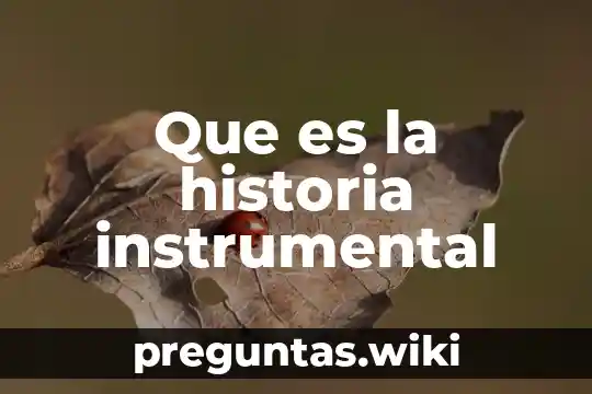 Que es la historia instrumental
