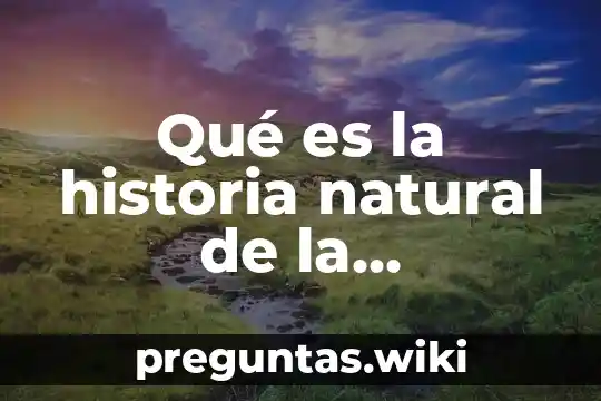 Qué es la historia natural de la enfermedad de diabetes