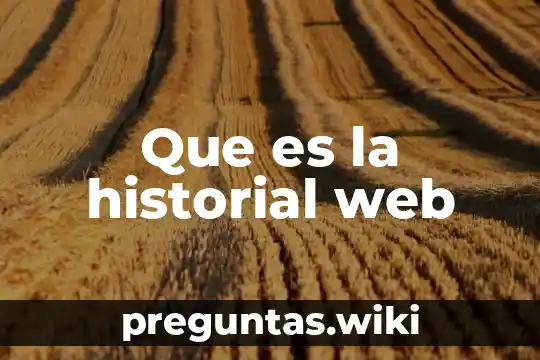 Que es la historial web