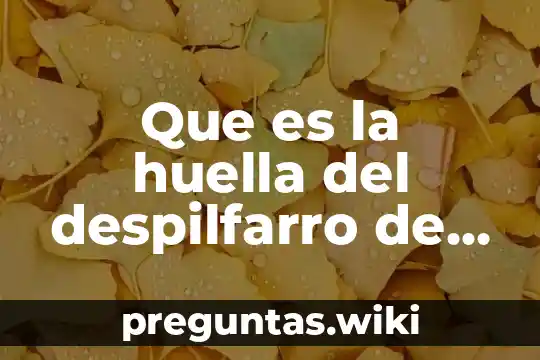 Que es la huella del despilfarro de alimentos
