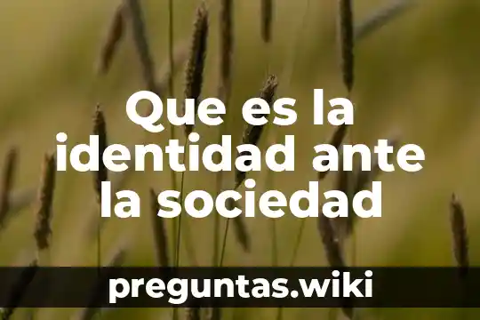 Que es la identidad ante la sociedad