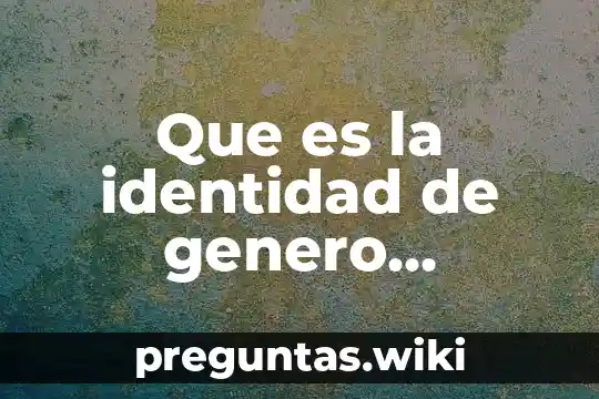 Que es la identidad de genero resumen