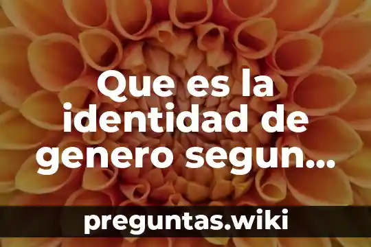 Que es la identidad de genero segun autores