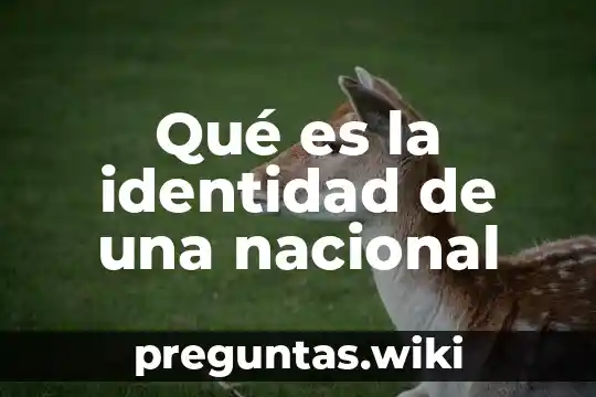 Qué es la identidad de una nacional